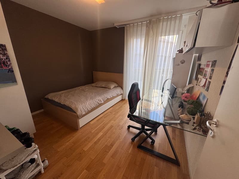 Spacieux appartement de 4.5 pièces moderne à Petit-Lancy (10)