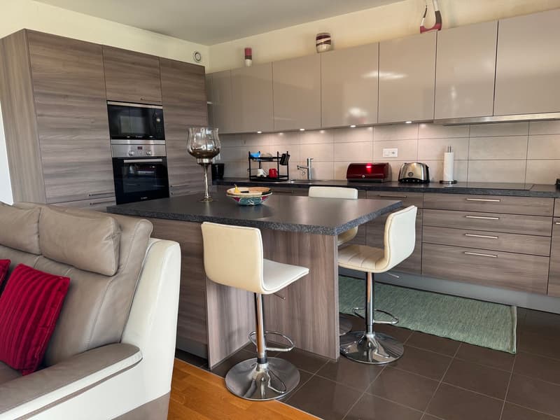 Spacieux appartement de 4.5 pièces moderne à Petit-Lancy (2)