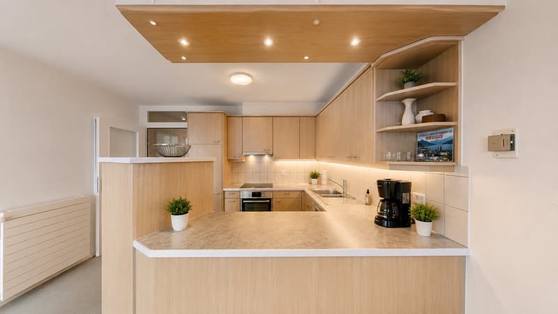 Wohnen in Weggis mit privatem Seeanstoss – attraktive Terrassenwohnung am Vierwaldstättersee (5)