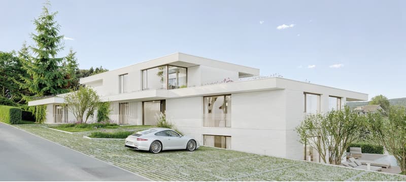 4.5-Zimmer-Terrassenwohnung mit Aussicht in Reinach AG (3)