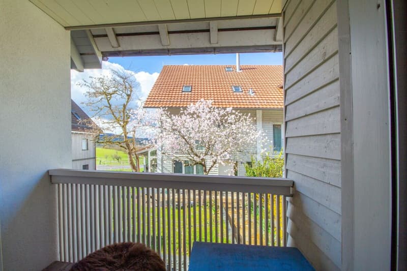 5.5-Zimmer-Reihenhaus mit grossem nützlichem Dachstock (19)