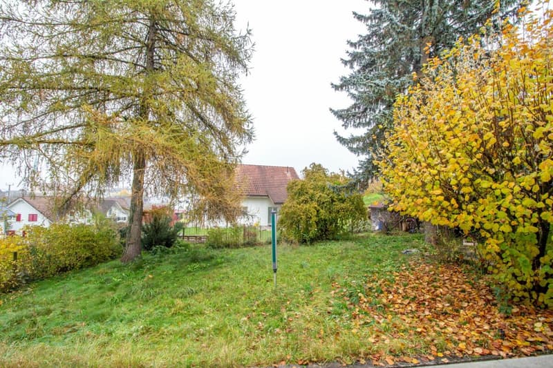 Einfamilienhaus mit grosszügigem Grundstück von 996 m² (5)