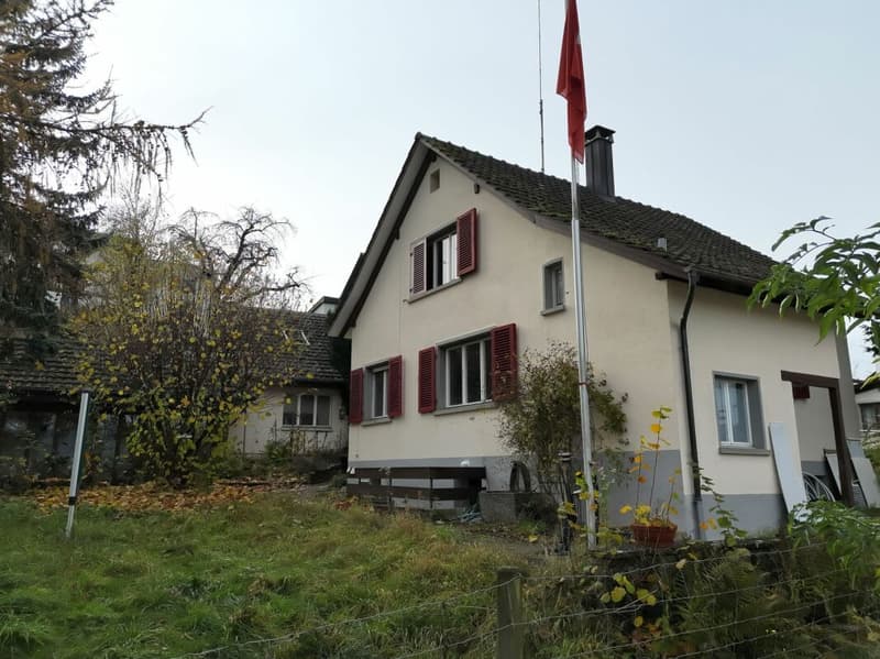 Freistehendes Einfamilienhaus mit Potenzial, separater grossen Werkstatt-/Garagengebäude (4)