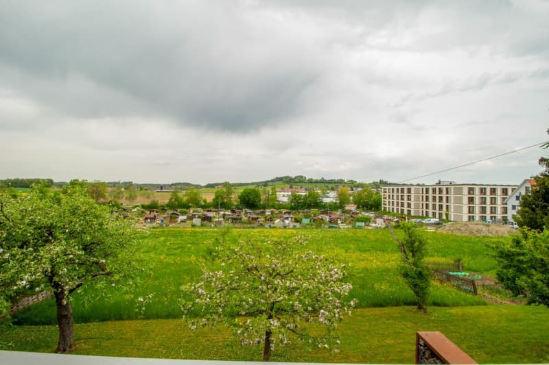 5.5-Zimmer-Doppeleinfamilienhaushälfte mit ausgebautem Dachstock und Aussicht (14)