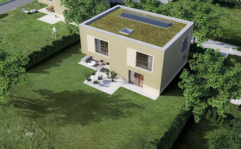 Neubau: freistehendes 5.5-Zi.-Einfamilienhaus in Eschenz (5)