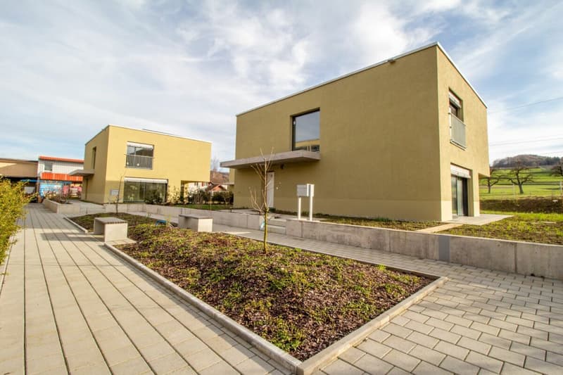 Neubau: freistehendes 5.5-Zi.-Einfamilienhaus in Eschenz (8)