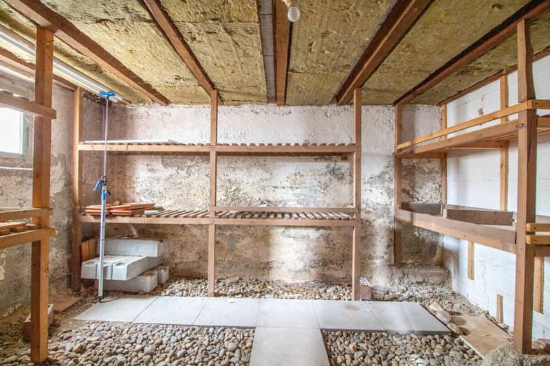 Freistehendes Einfamilienhaus mit Potenzial, separater grossen Werkstatt-/Garagengebäude (24)