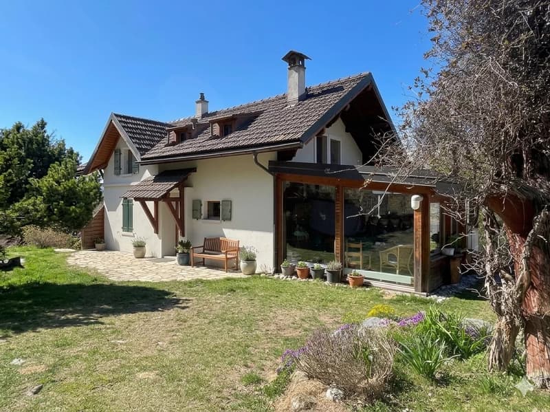 Haus und wunderschöne Grundstücke (1)
