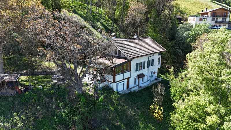 Haus und wunderschöne Grundstücke (10)
