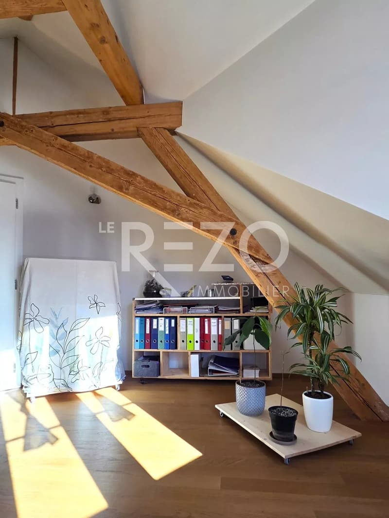 Maison de 2 appartements de standing - Entièrement rénovée - Sierre (13)