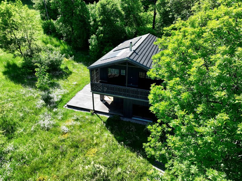 Villa écologique d'exception 6.5 pièces ? calme absolu en pleine nature aux Vérines (13)
