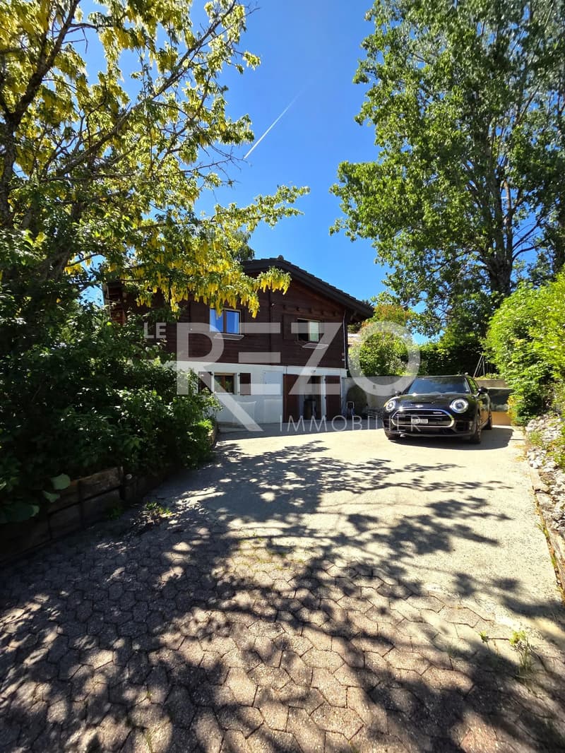 Superbe chalet de 5 pièces, tranquillité absolue et vue panoramique sur le lac (6)