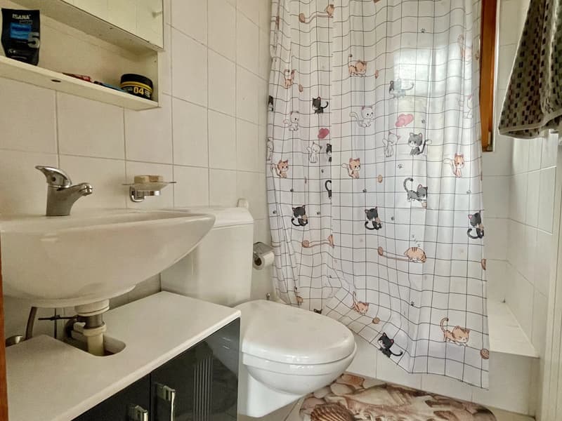 Location - Appartement Noble-Contrée (Veyras) (6)