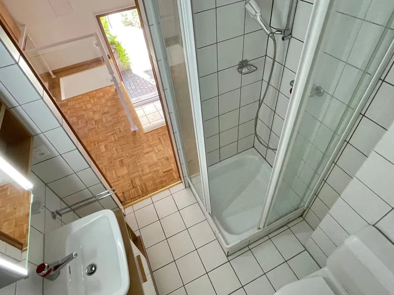 2 Zimmer Duplex im Zentrum von Sierre (5)