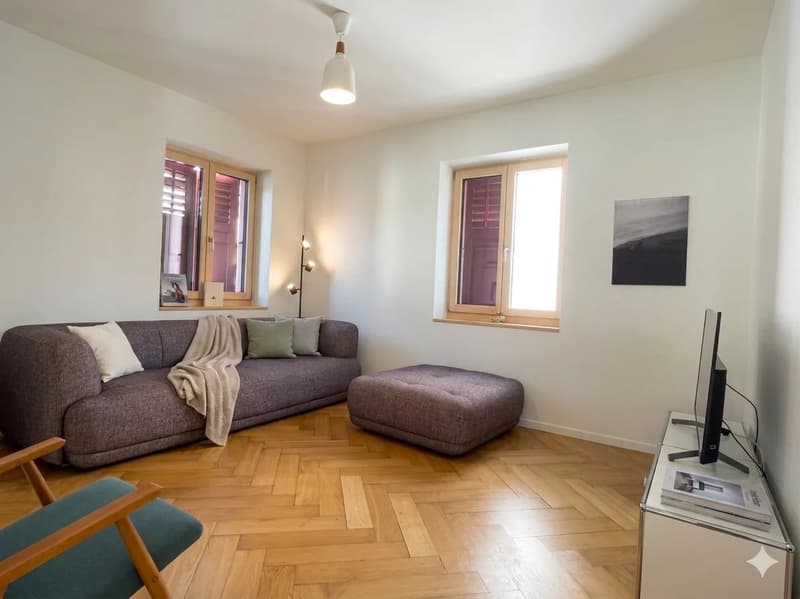 Wunderschöne 5,5-Zimmer-Duplex im Stadtzentrum (2)