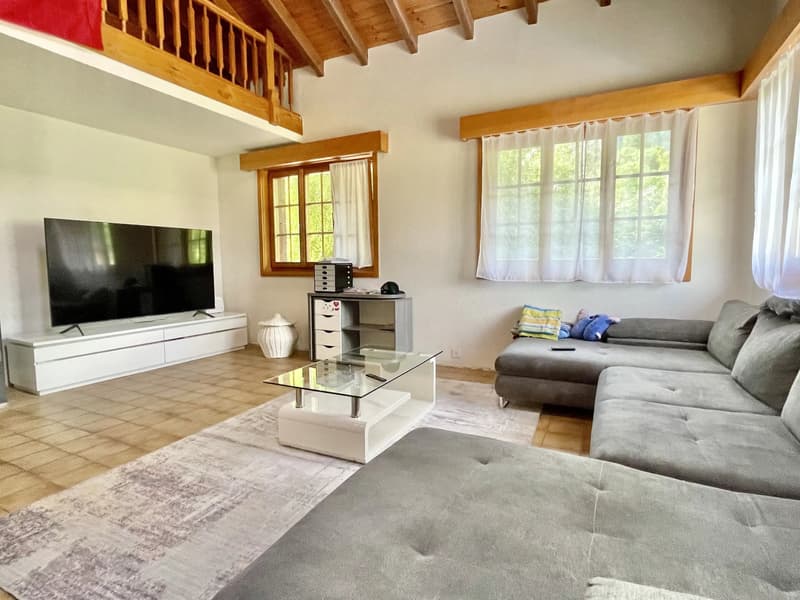 Große 3,5-Zimmer-Wohnung mit Galerie (1)