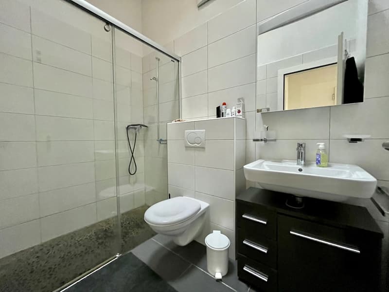 DACHGESCHOSS 4,5 ZIMMER (8)