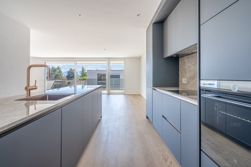 Splendide 4,5 pièces avec spacieux balcon au dernier étage (3)