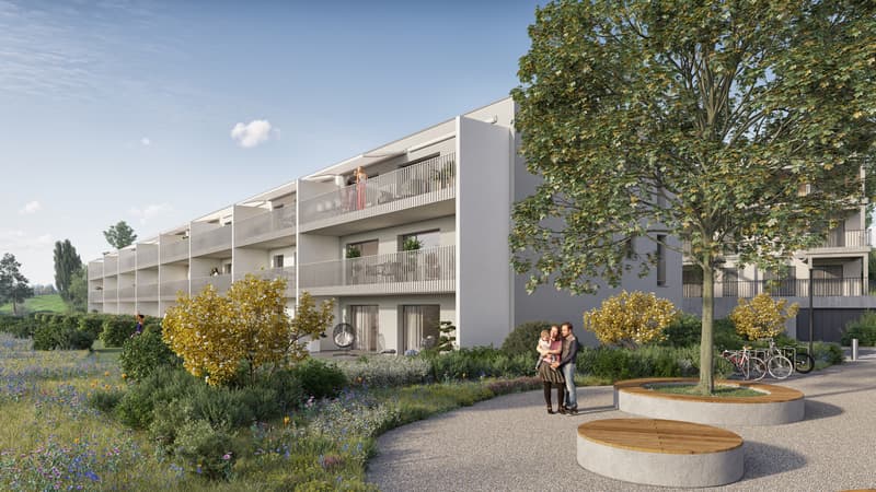 Idéal investisseur : Lot exclusif de 3 appartements neufs en PPE (3)