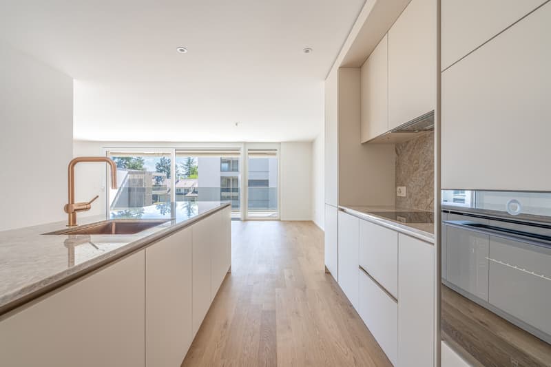 4,5 pièces neuf avec un généreux balcon (3)