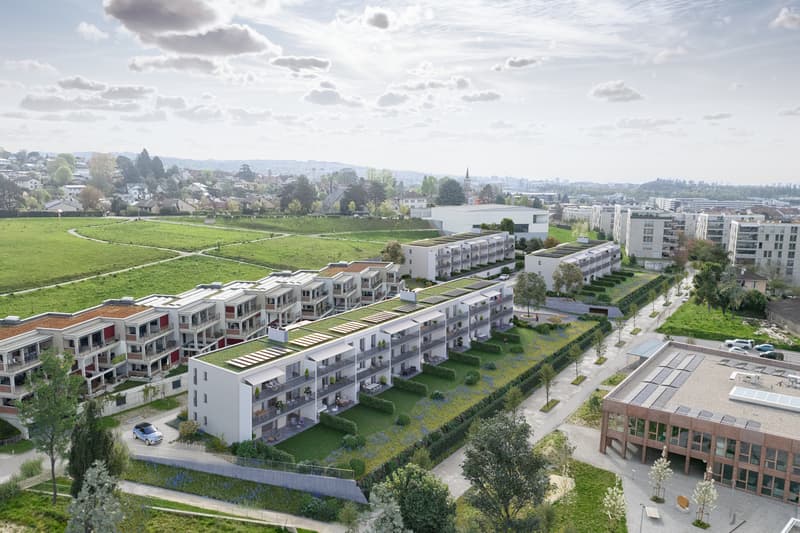 Superbe studio au rez-de-chaussée avec terrasse et jardin privatif (6)