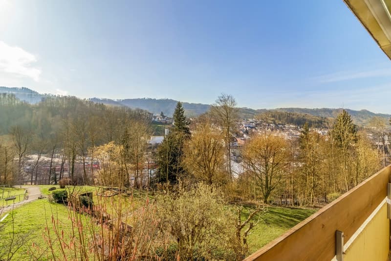 Renovierte 2½ Zimmer Wohnung mit traumhaftem Panoramablick