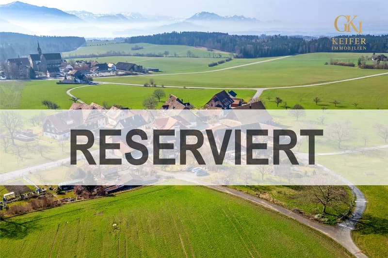 Aerial view of a village with houses, green fields, and mountains in the background