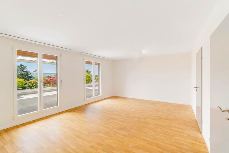 3½ Zimmer Maisonette Terrassenwohnung (8)