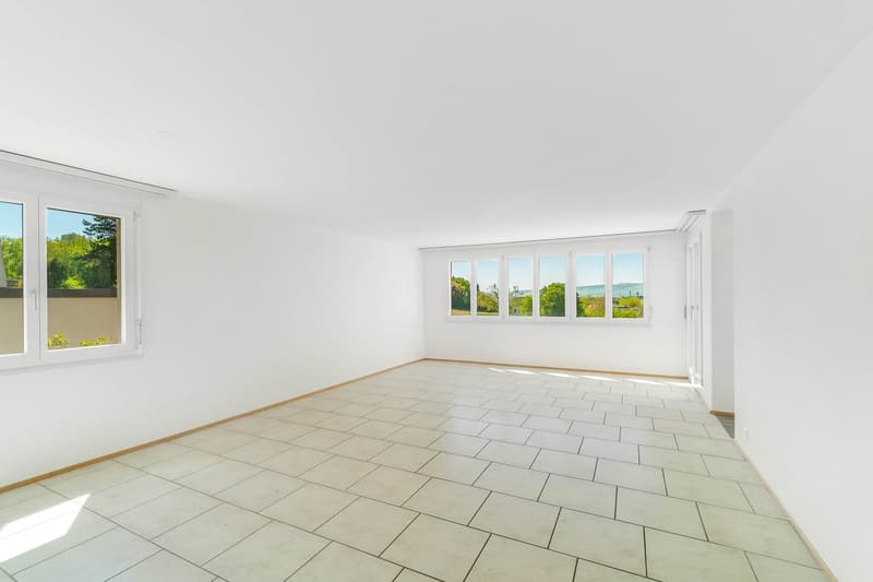 3½ Zimmer Maisonette Terrassenwohnung (4)