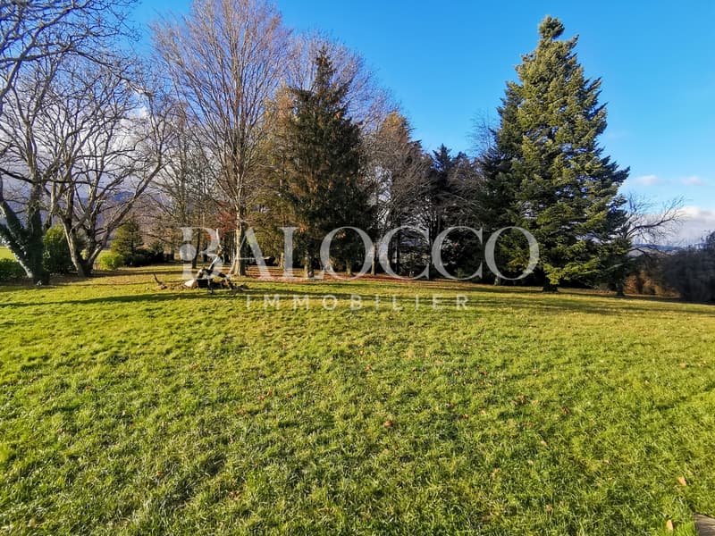Terrain - Balocco Immobilier