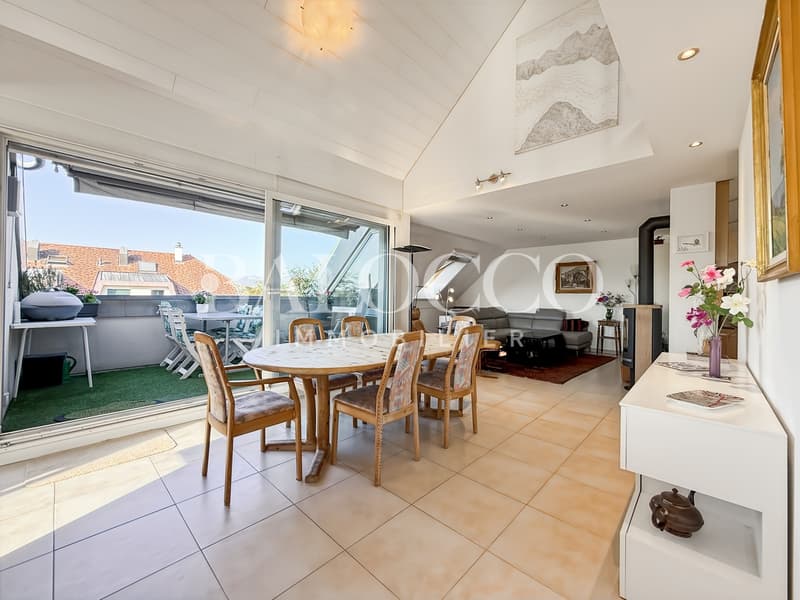 Très beau duplex familiale de 6,5 pièces (2)