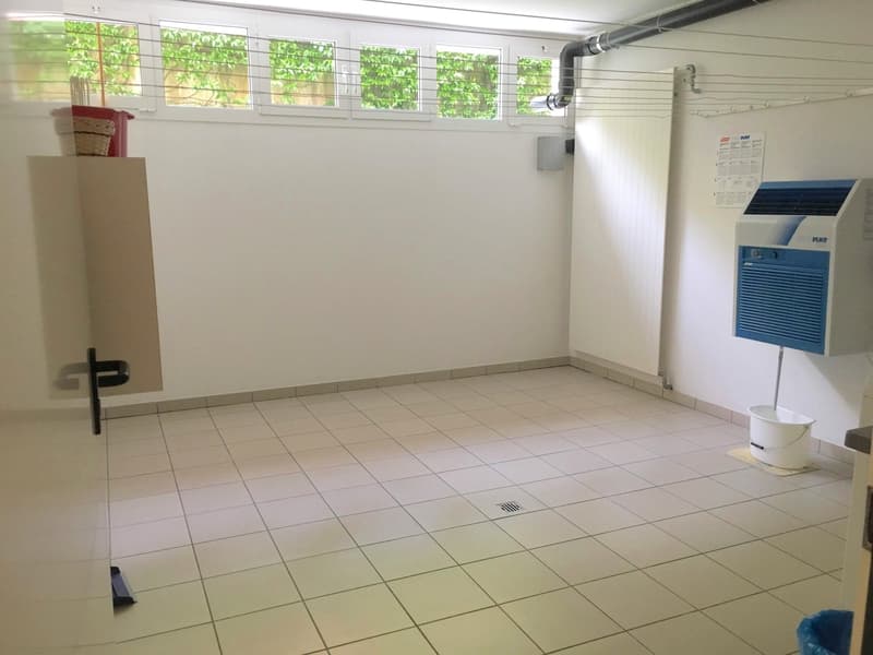 Spazioso e luminoso appartamento a Breganzona (12)