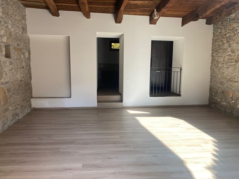 Origlio caratteristico 3,5 locali con corte (5)