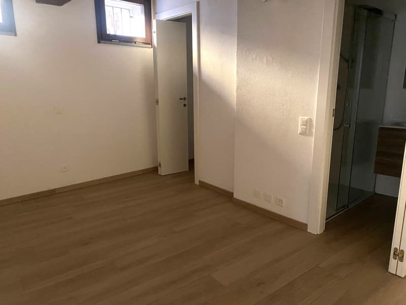 Origlio caratteristico 3,5 locali con corte (8)