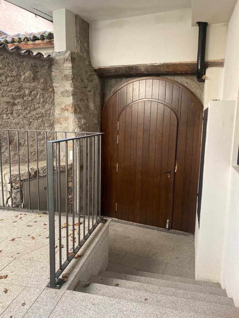 Origlio caratteristico 3,5 locali con corte (3)