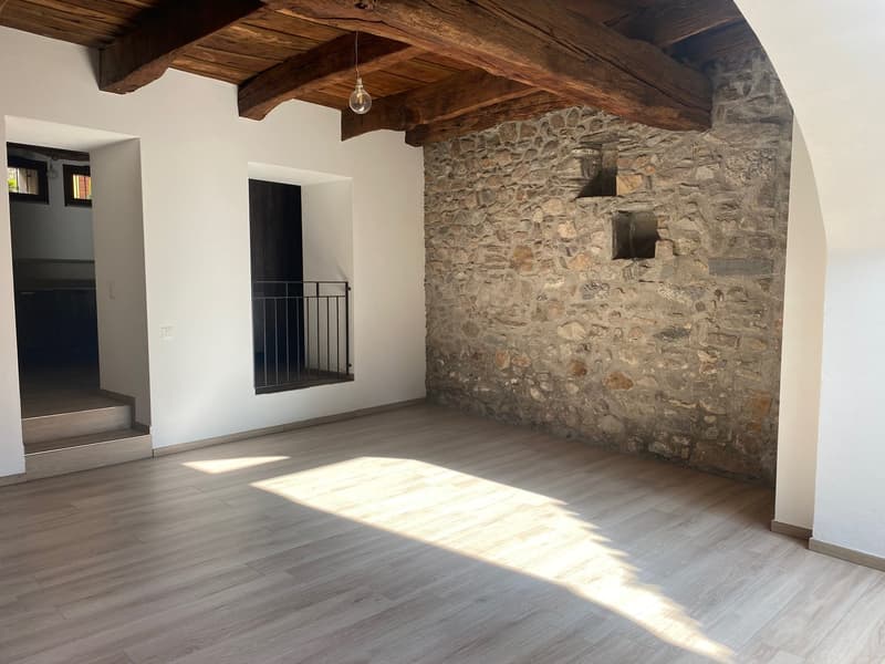 Origlio caratteristico 3,5 locali con corte (4)
