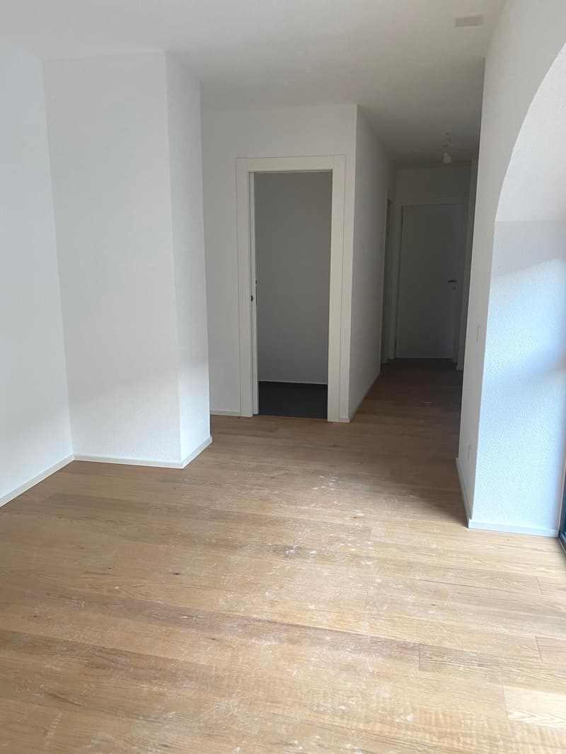 Caratteristico appartamento 2.5 locali a Mendrisio (7)