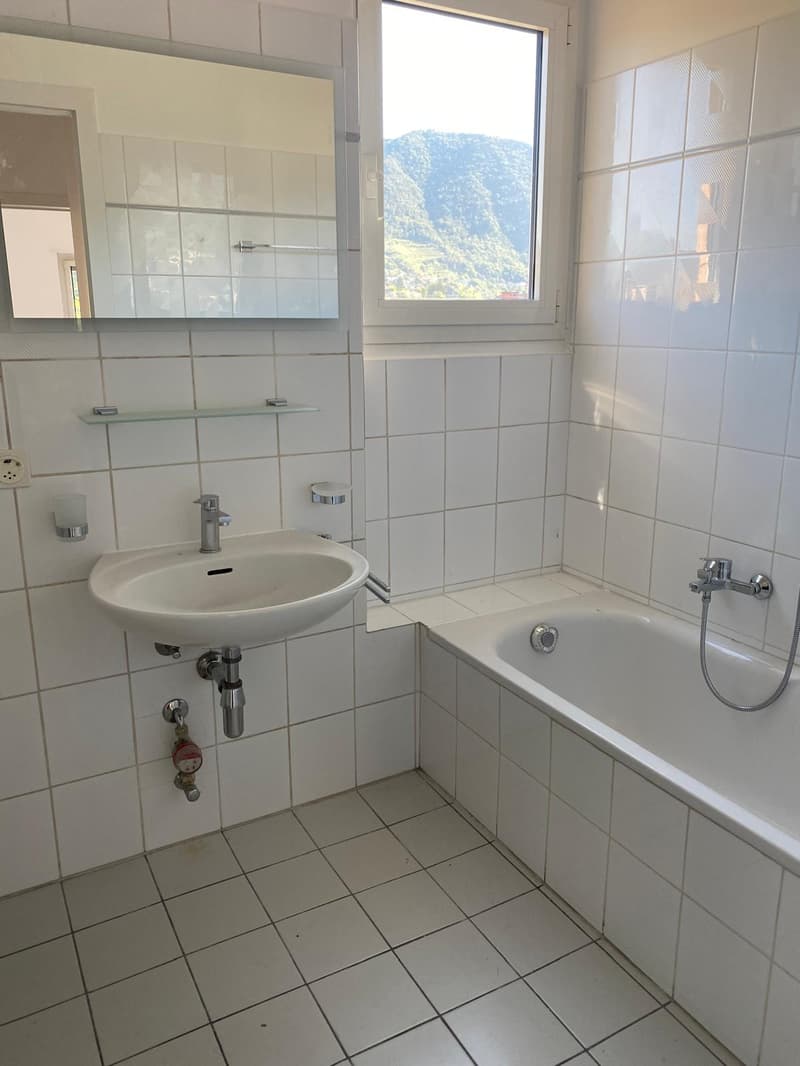 Chiasso, grande attico 3,5 locali con cucina separata (6)