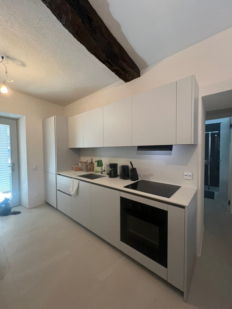 Moderno appartamento 1.5 locali a Mendrisio con balcone (1)