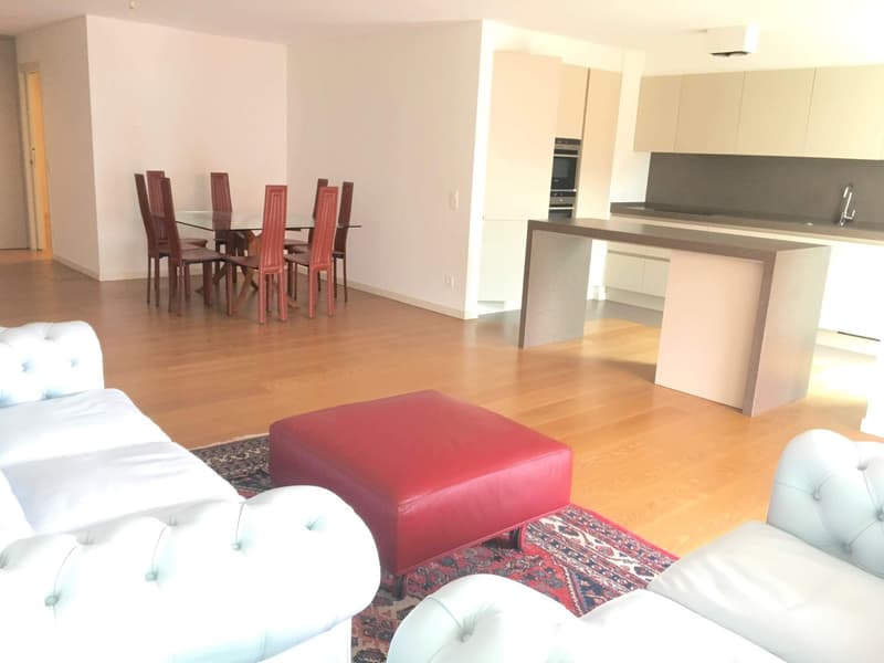 Melide elegante e spazioso 5,5 locali (4)