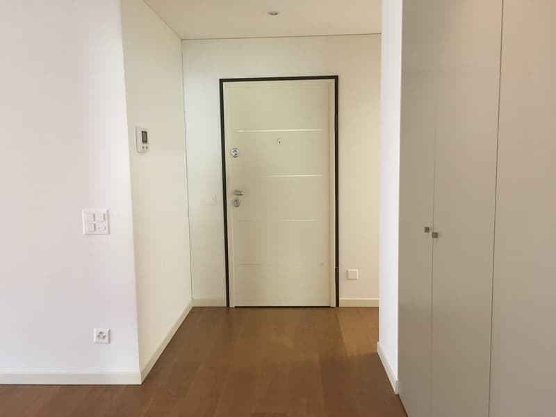 Melide elegante e spazioso 5,5 locali (2)