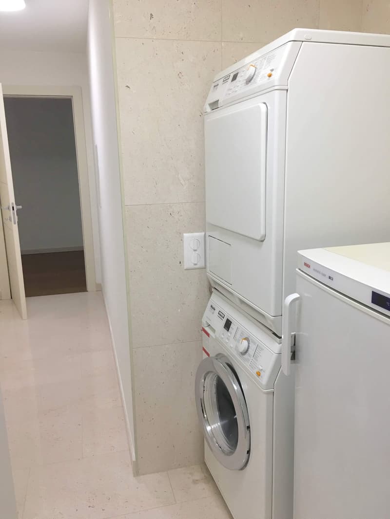 Melide elegante e spazioso 5,5 locali (3)