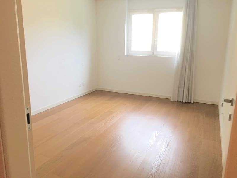 Melide elegante e spazioso 5,5 locali (11)