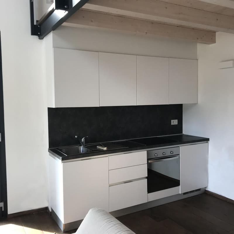 Elegante abitazione a 5 minuti da Lugano (5)
