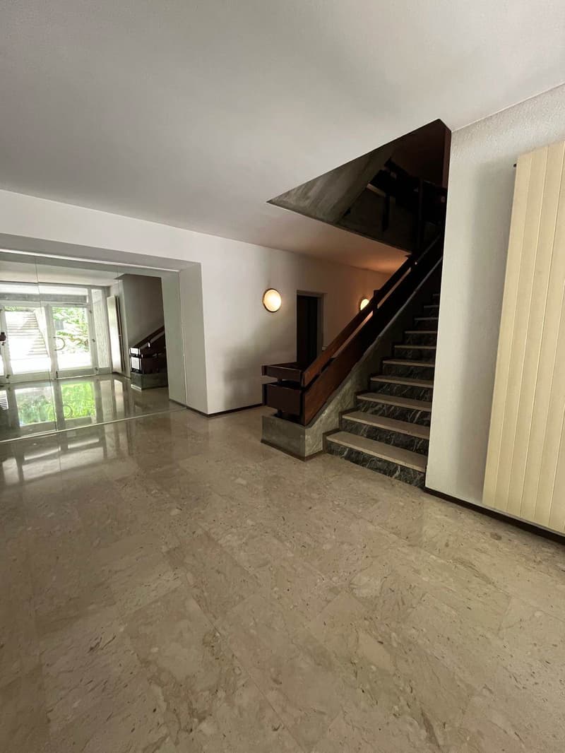 MERAVIGLIOSO APPARTAMENTO DI PREGIO A LUGANO (3)