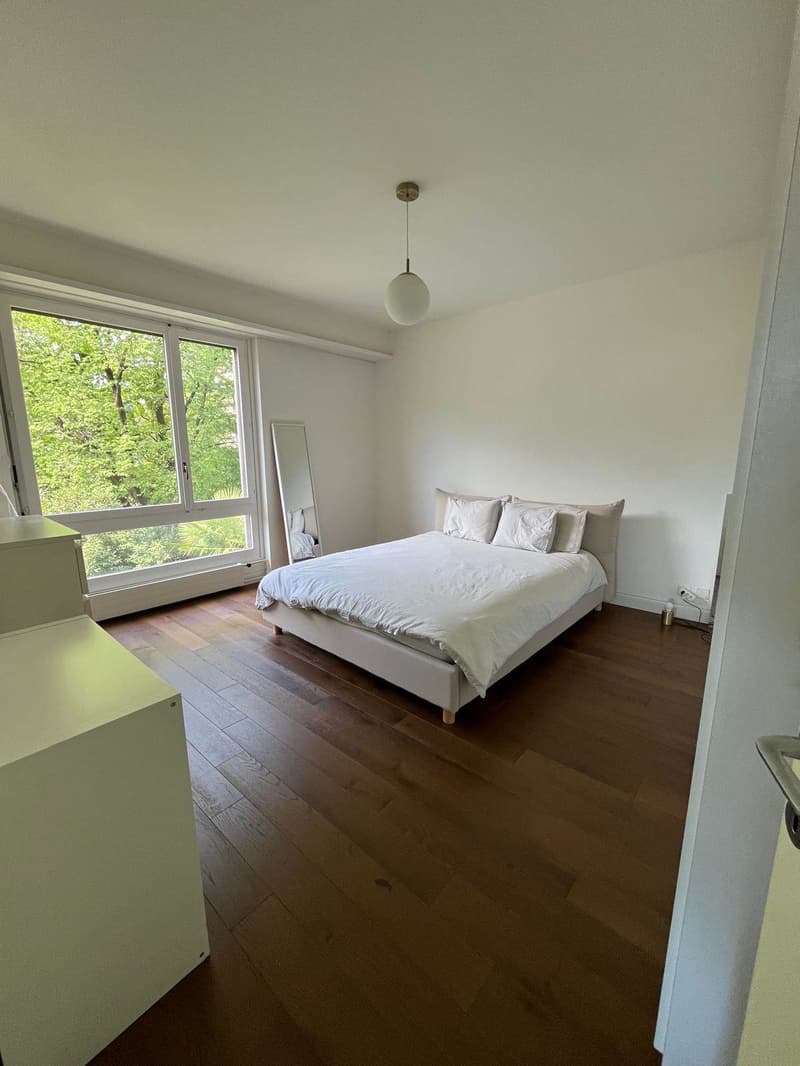 MERAVIGLIOSO APPARTAMENTO DI PREGIO A LUGANO (6)