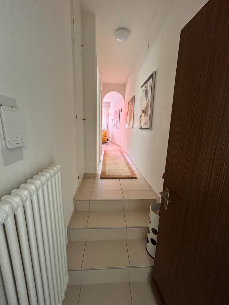 Appartamento completamente arredato a Losone (6)