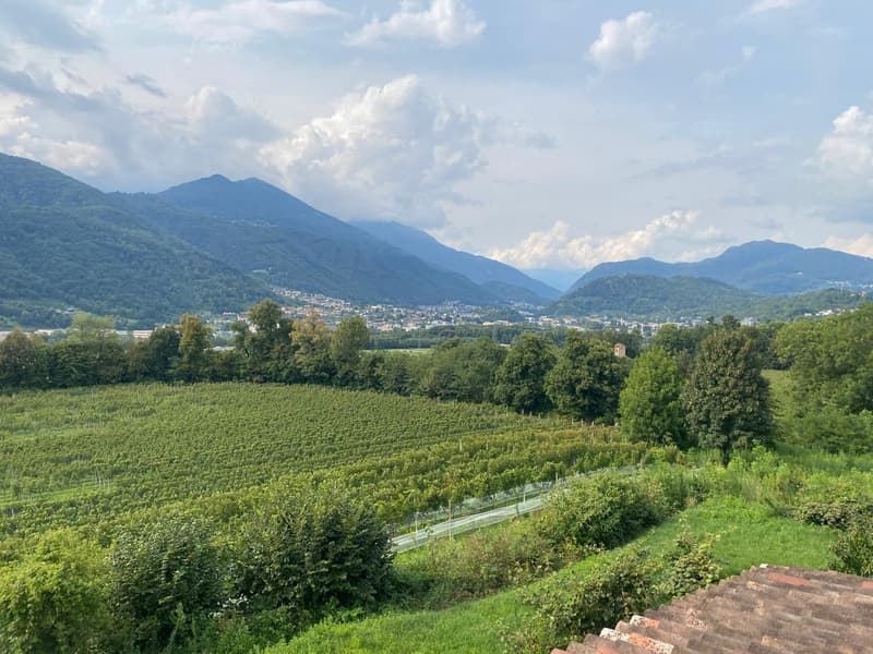 Splendida Casa Colonica di 12 Locali con Vigneto a Breganzona (18)