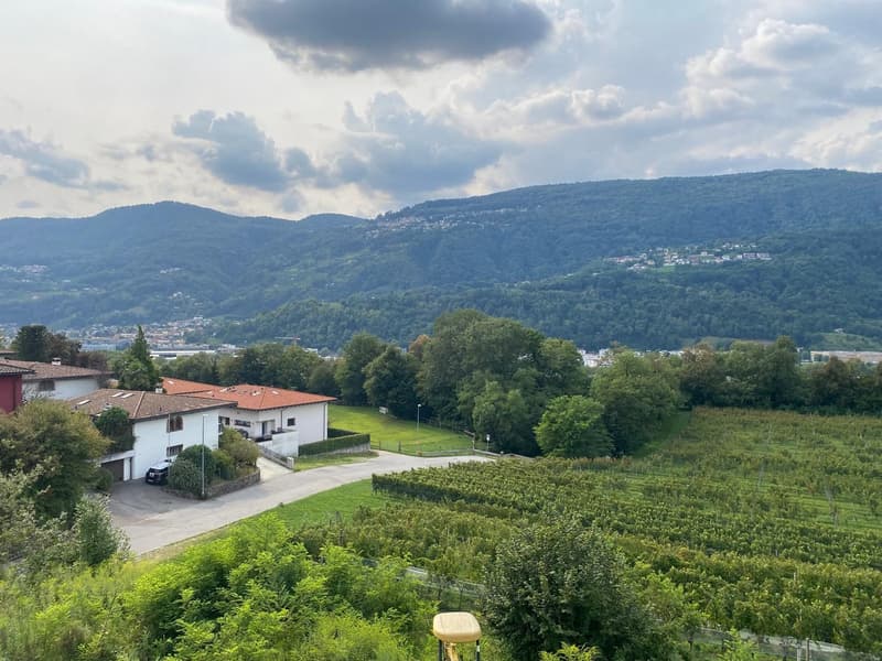 Splendida Casa Colonica di 12 Locali con Vigneto a Breganzona (19)