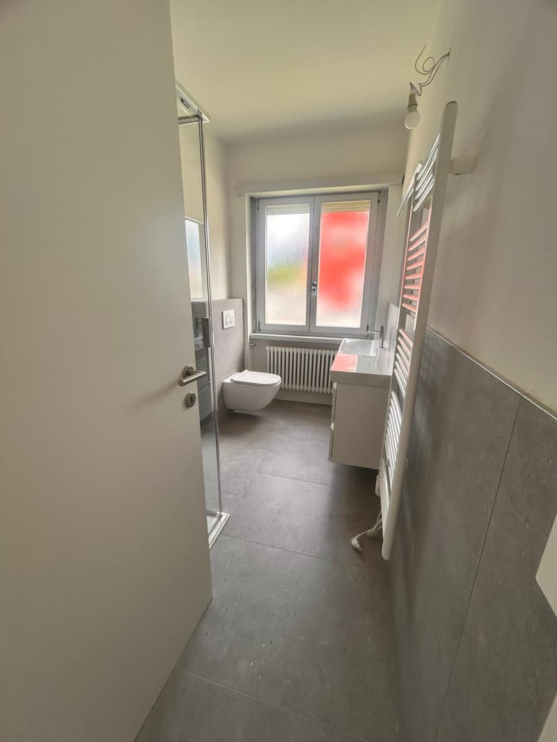 Appartamento 3.5 Locali a Mendrisio (5)